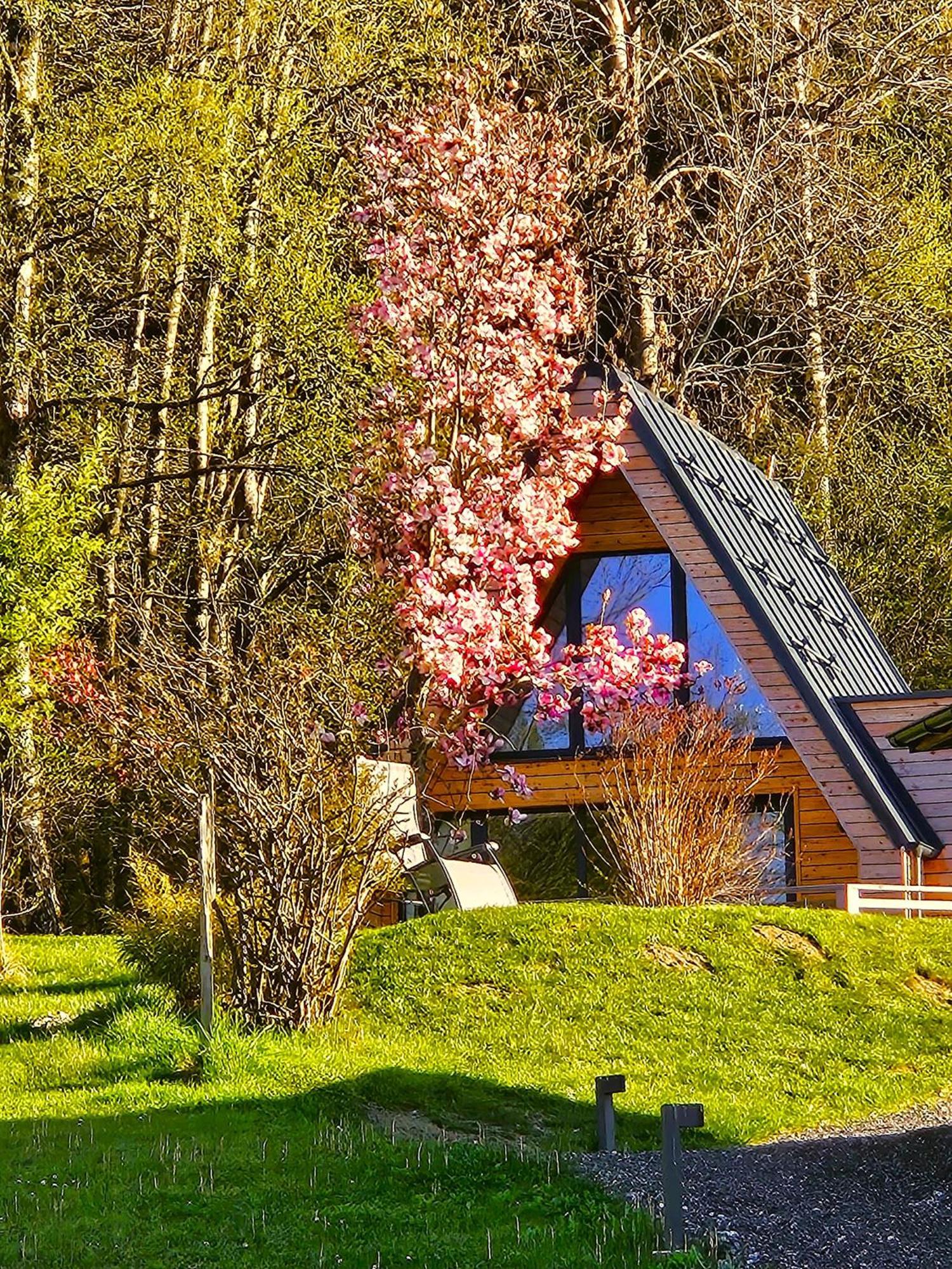 Mountains & Lakes - Chaletdorf & Appartements Villach Zewnętrze zdjęcie